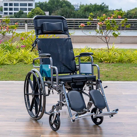 Xe lăn đa năng người già CTcare 903GCJ